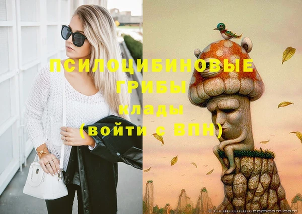 амф Горнозаводск