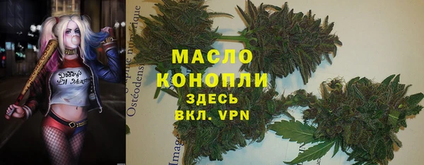 амф Горнозаводск
