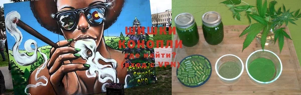 соль ск Горно-Алтайск